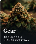 Gear
